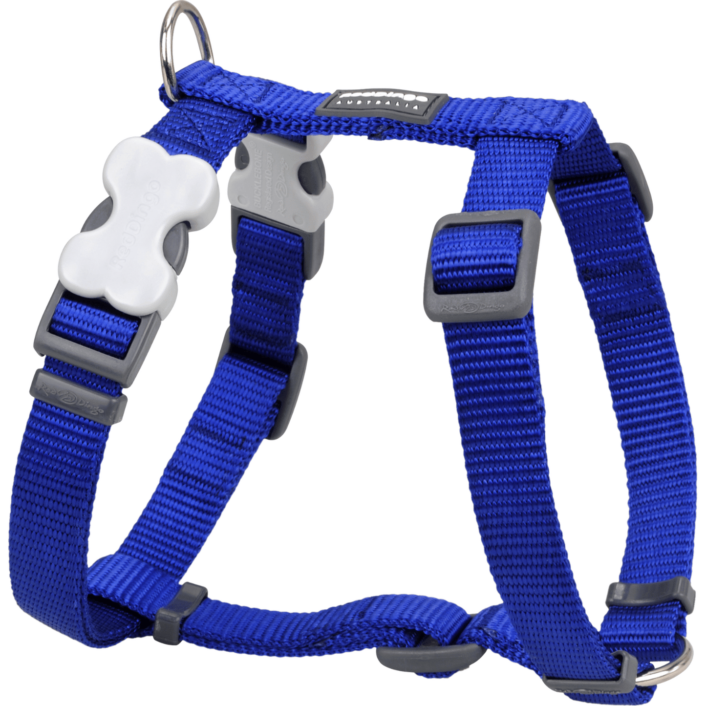 Harnais pour Chien – Boucle innovante – Nylon Premium|forme H Basic - RedDingo