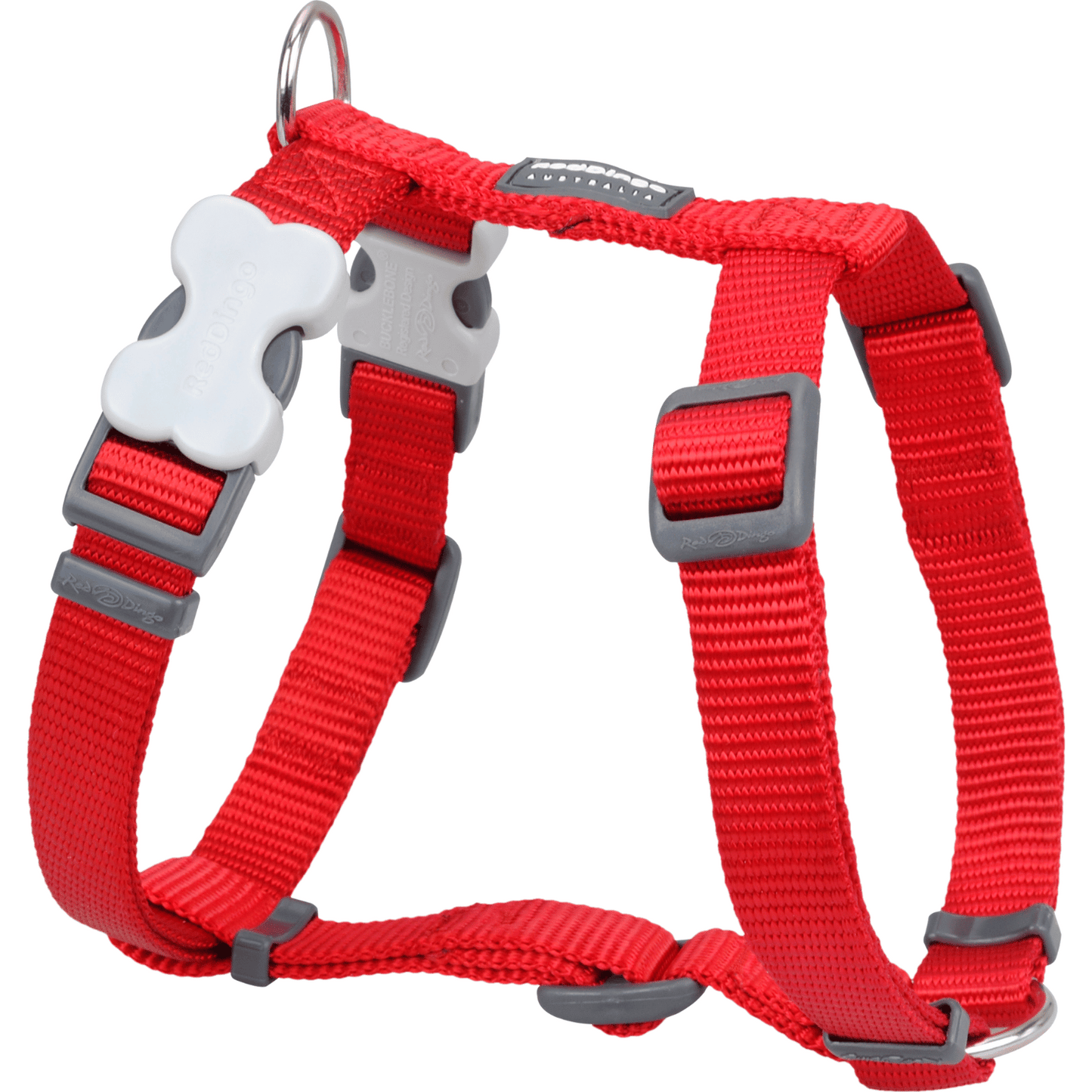 Harnais pour Chien – Boucle innovante – Nylon Premium|forme H Basic - RedDingo