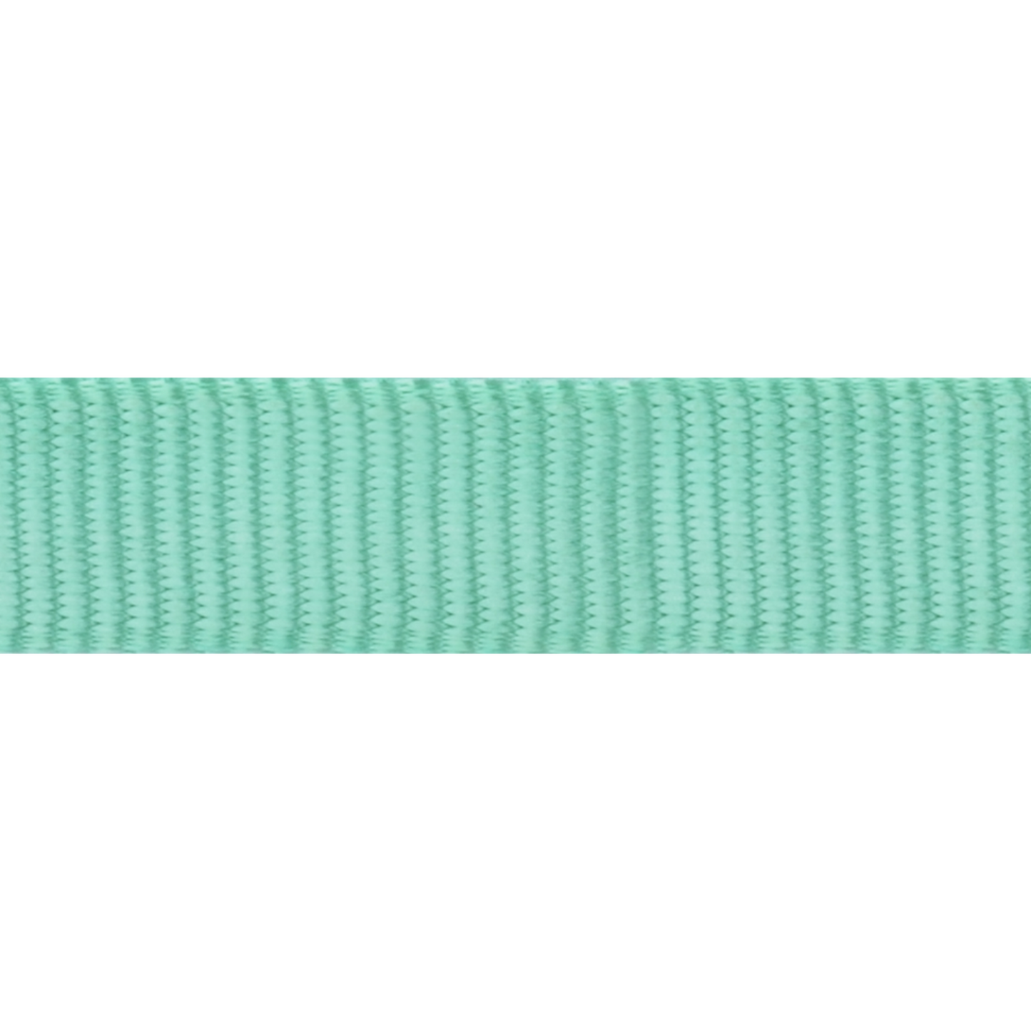 Laisse pour Chien Ultra Confort – Mousqueton breveté – Nylon Premium|Pastel - RedDingo