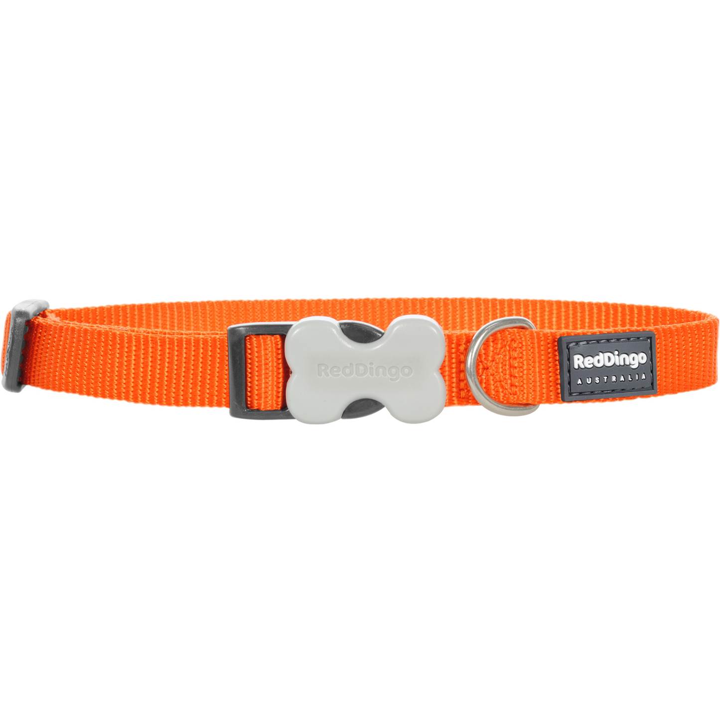 Collier pour Chien Original basic – Boucle Innovante – Réglable – Nylon Premium|Bucklebone - RedDingo