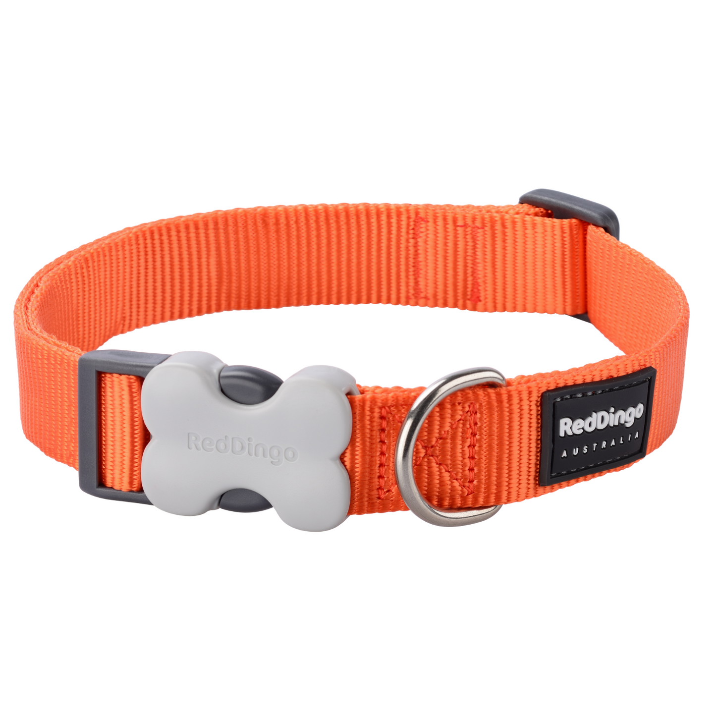 Collier pour Chien Original basic – Boucle Innovante – Réglable – Nylon Premium|Bucklebone - RedDingo