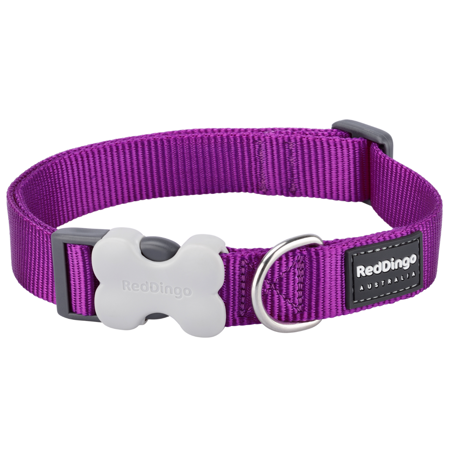 Collier pour Chien Original basic – Boucle Innovante – Réglable – Nylon Premium|Bucklebone - RedDingo