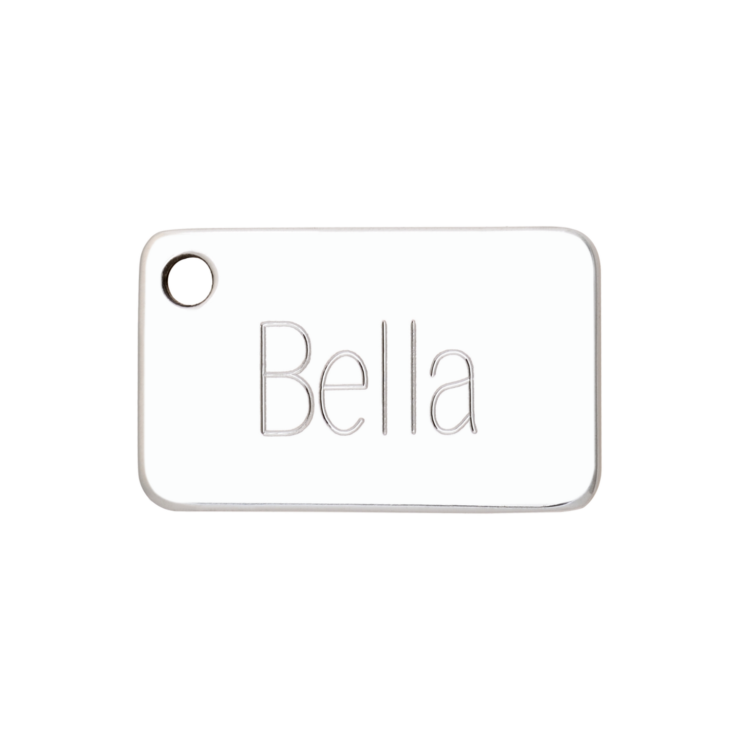 medaille identification chien inox plaque gravure face