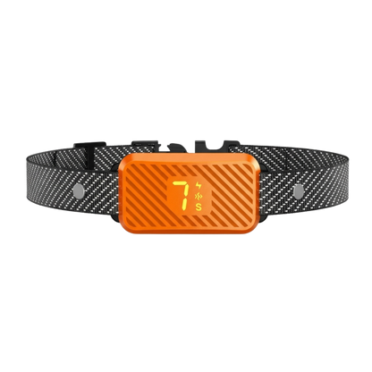 EducaLoop Anti-Bark Collar 