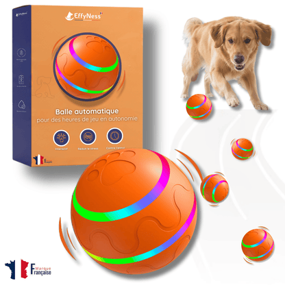 EffyBall - Jouet Automatique 🐾