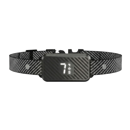 EducaLoop Anti-Bark Collar 