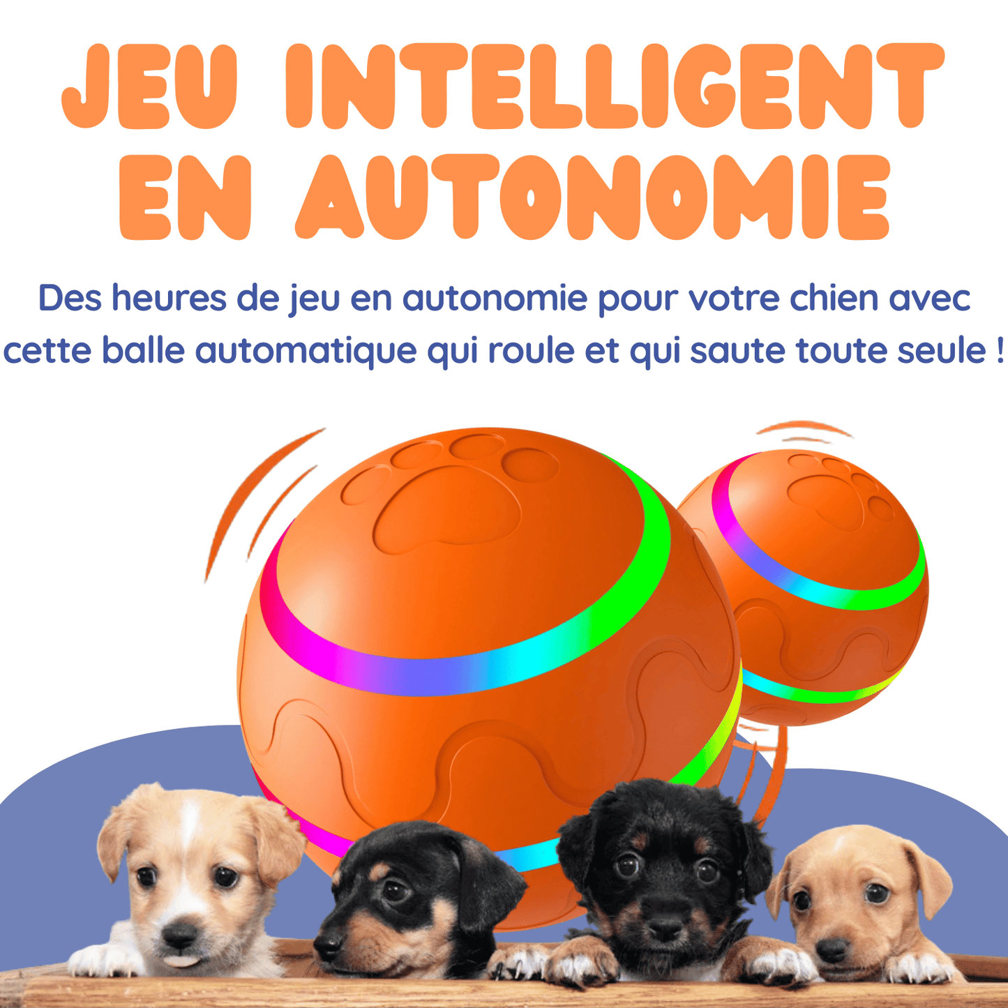EffyBall - Jouet Automatique 🐾