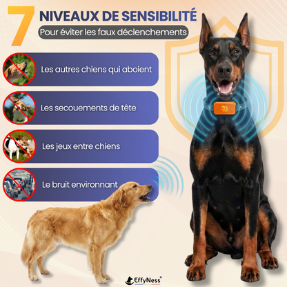 EducaLoop Anti-Bark Collar 