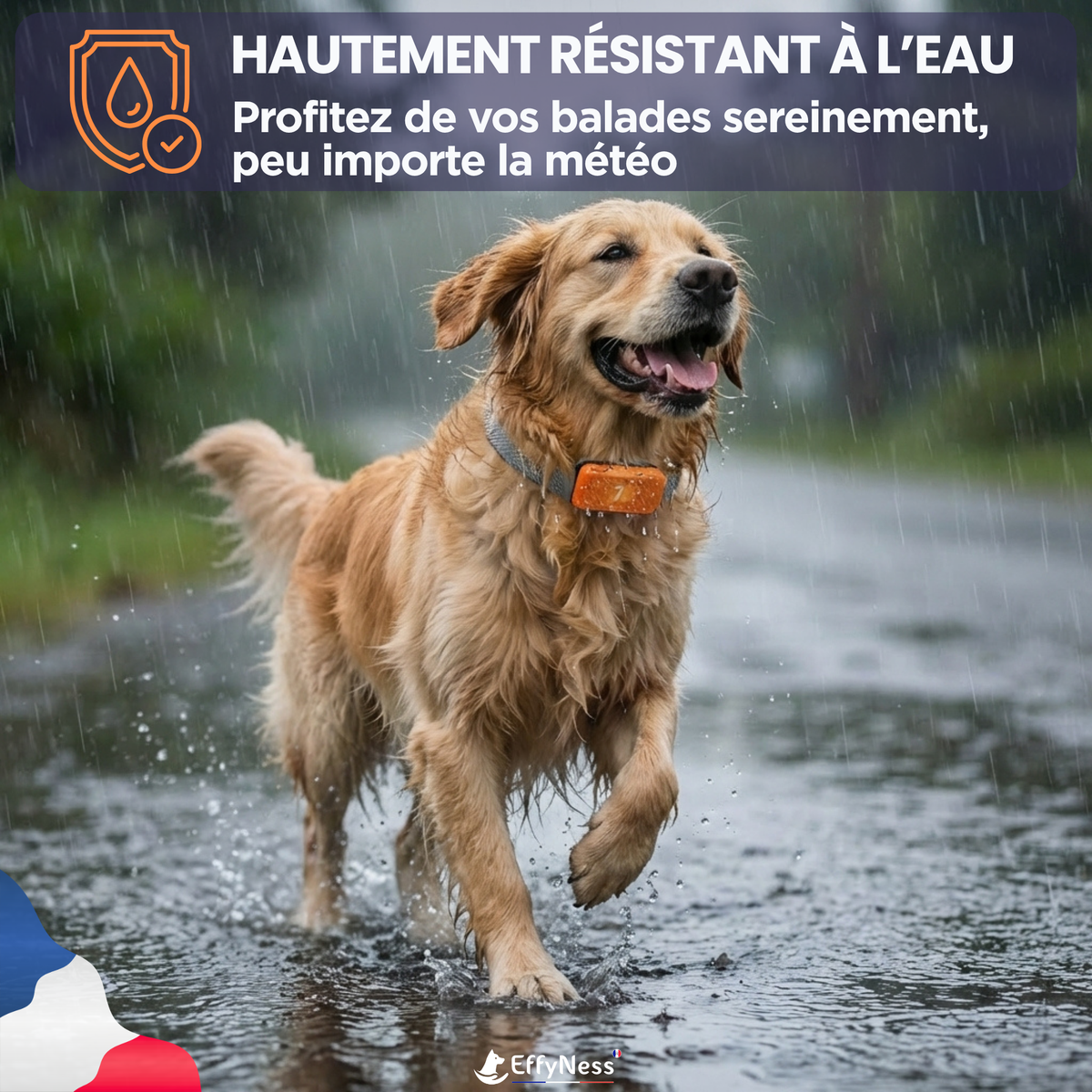 EducaLoop Anti-Bark Collar 