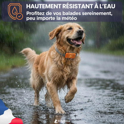 EducaLoop Anti-Bark Collar 