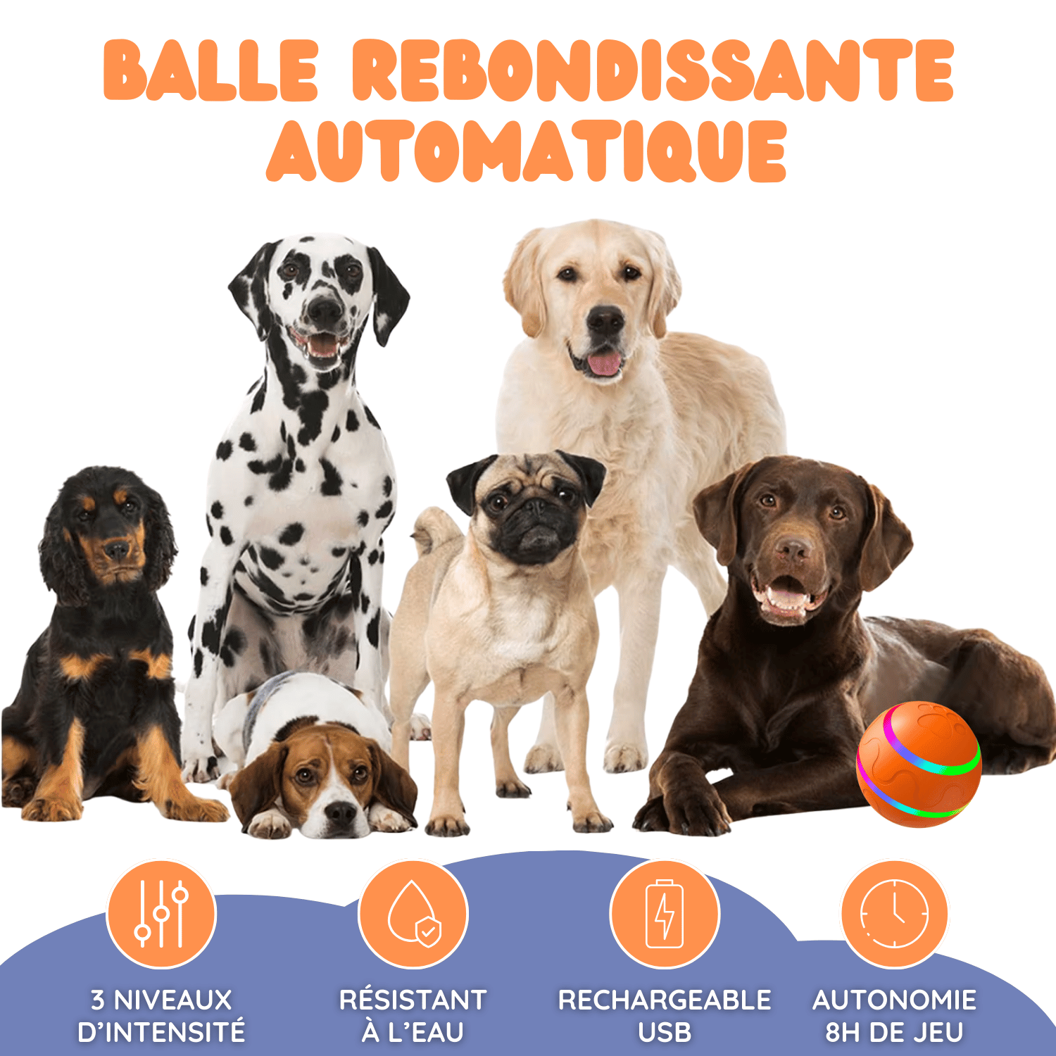 EffyBall - Jouet Automatique 🐾