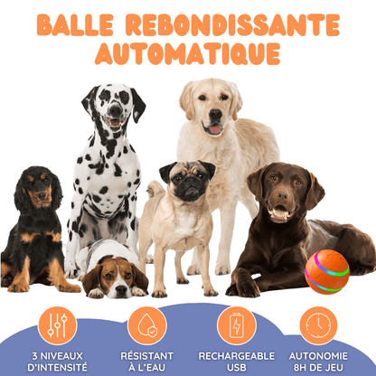 EffyBall - Jouet Automatique 🐾