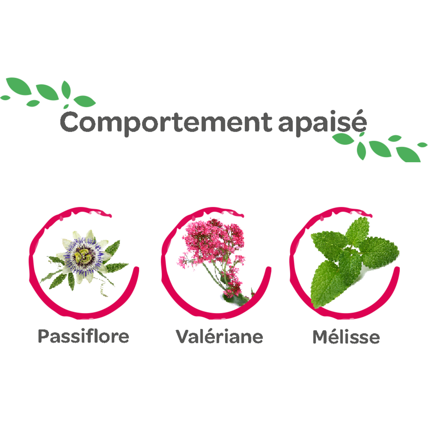 Comportement apaisé