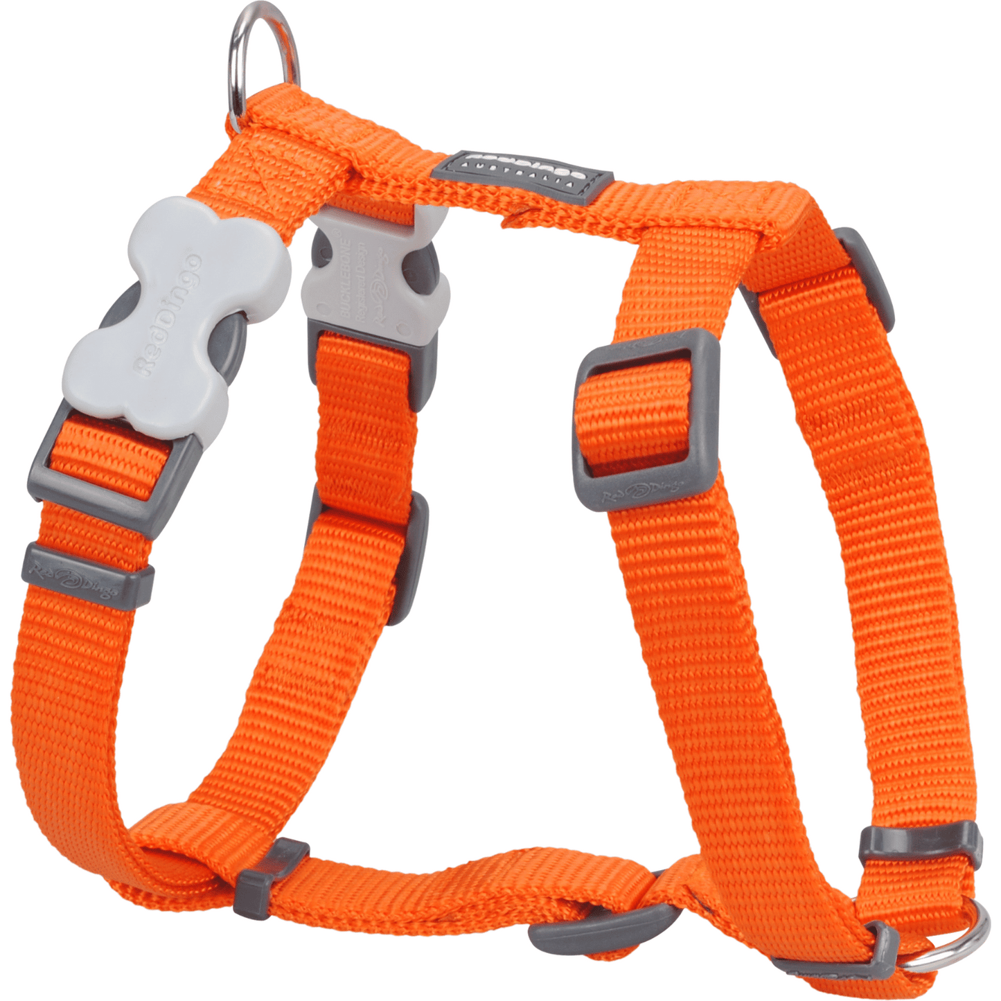 Harnais pour Chien – Boucle innovante – Nylon Premium｜forme H Basic - RedDingo