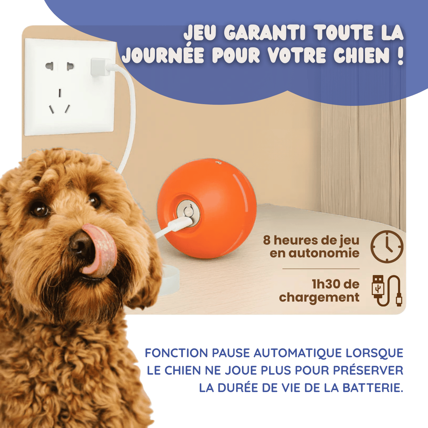 EffyBall - Jouet Automatique 🐾