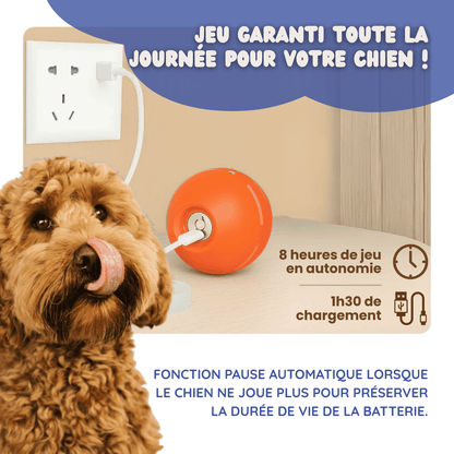 EffyBall - Jouet Automatique 🐾