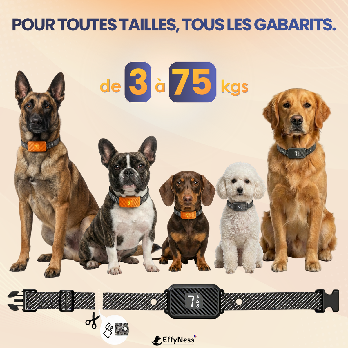 EducaLoop Anti-Bark Collar 
