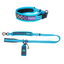 Collier pour Chien – Fluo Lumineux – Réfléchissant｜Boréal - Freedog