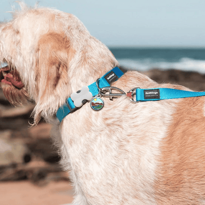 Collier medaille pour chien montagne