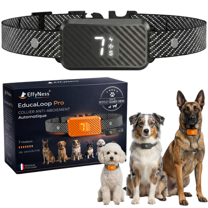 EducaLoop Anti-Bark Collar 