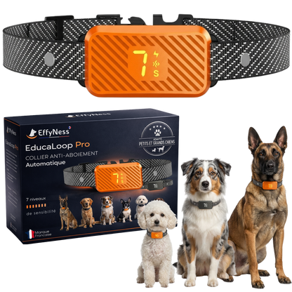 EducaLoop Anti-Bark Collar 