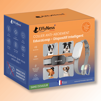 aboiement chien collier dressage éducation