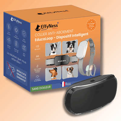 collier anti aboiement pour chien dressage éducation educaloop noir