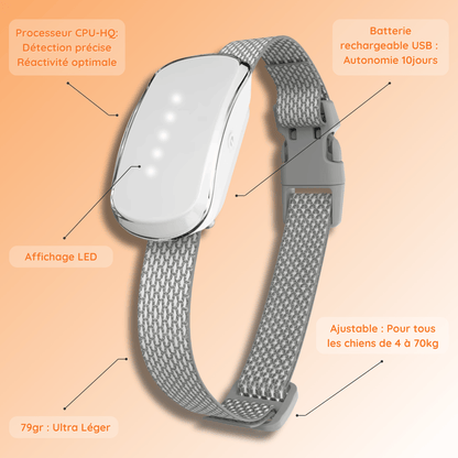 collier anti aboiement pour chien dressage éducation technologie
