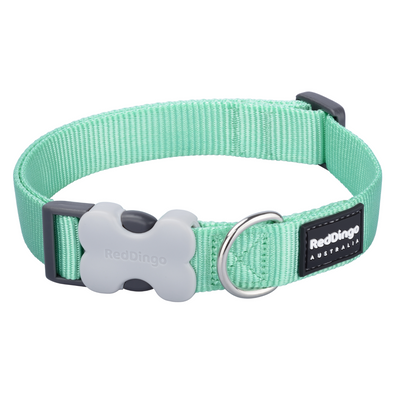 collier nylon pour chien