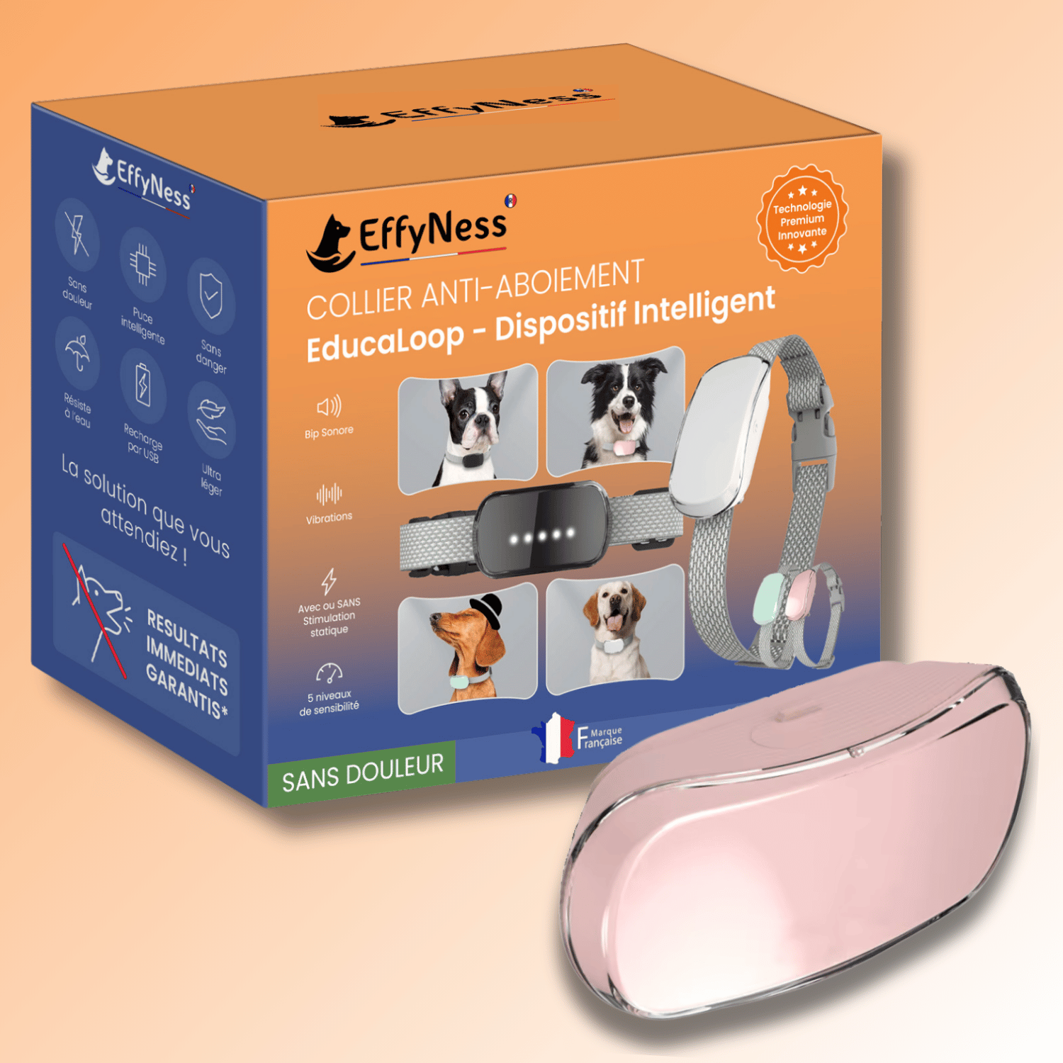 collier anti aboiement chien dressage éducation rose