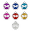 medaille-identification-chien-paillettes-os-toutes-couleurs