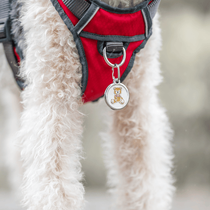 medaille identification pour chien inox email gravure personnalisee