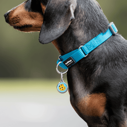 medaille personnalisée inox email enamel identification pour chien