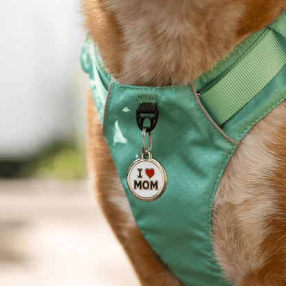 medaille personnalisée inox enamel email identification pour chien