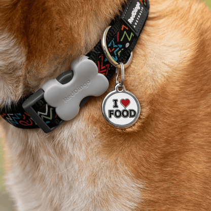 medaille personnalisée inox et email identification et collier pour chien