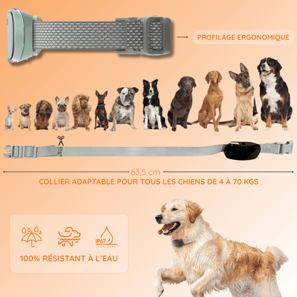 quelle taille collier pour chien anti aboiement dressage education